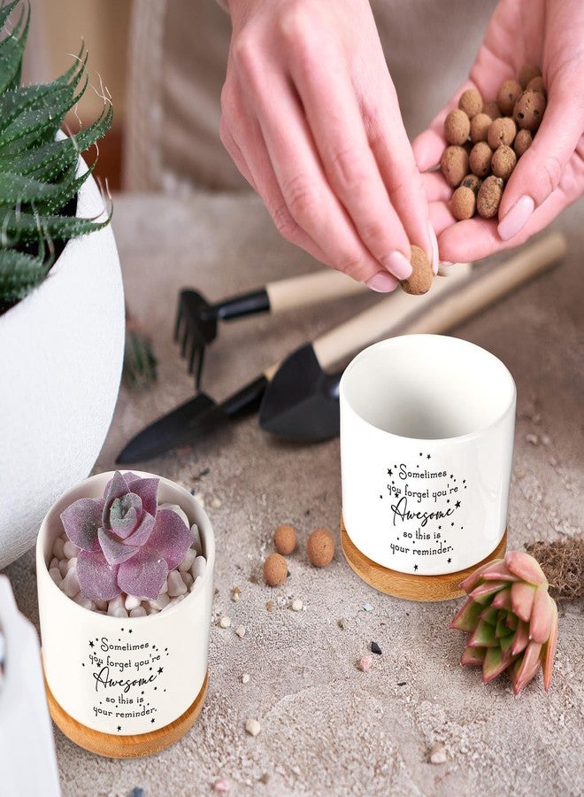 Seewey 12 Pcs Inspirational Succulent Pots Gifts Employee Appreciation Bulk Gifts for Women Coworker Teacher Small Ceramic Plant Pots with Bamboo Trays for Office Staff Graduation(Awesome) - Image 4